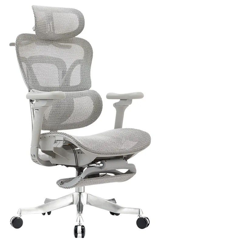 Home Office Ergonomics - Ergonomik Bilgisayar Çalışma Koltuğu, Yatırma Fonksiyonlu,